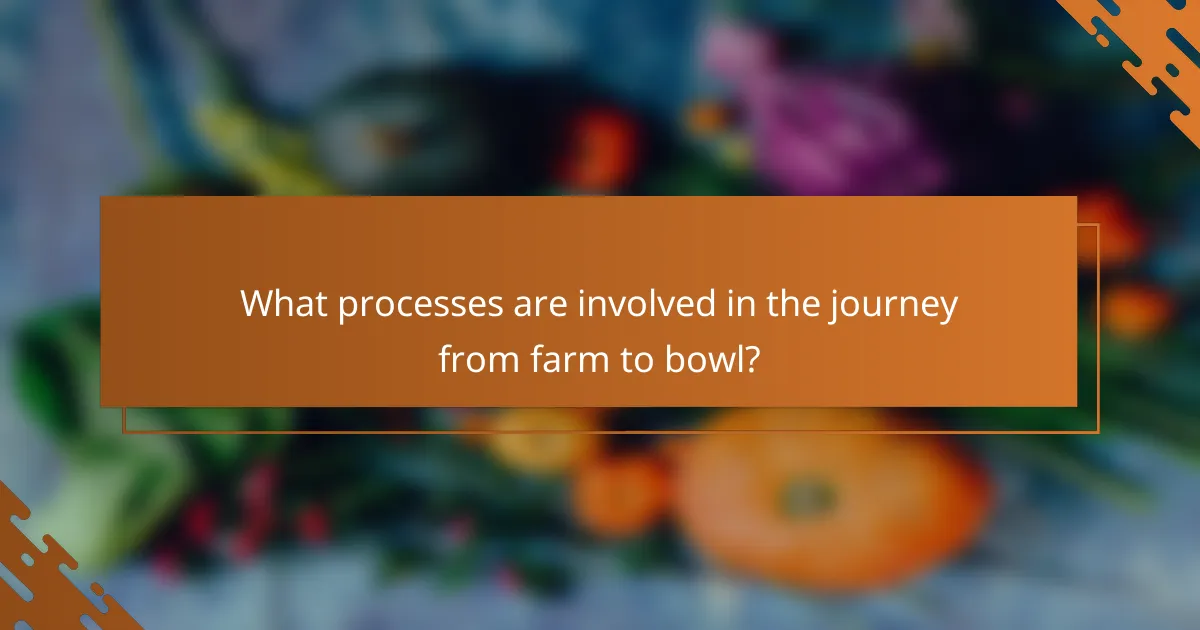 What processes are involved in the journey from farm to bowl?
